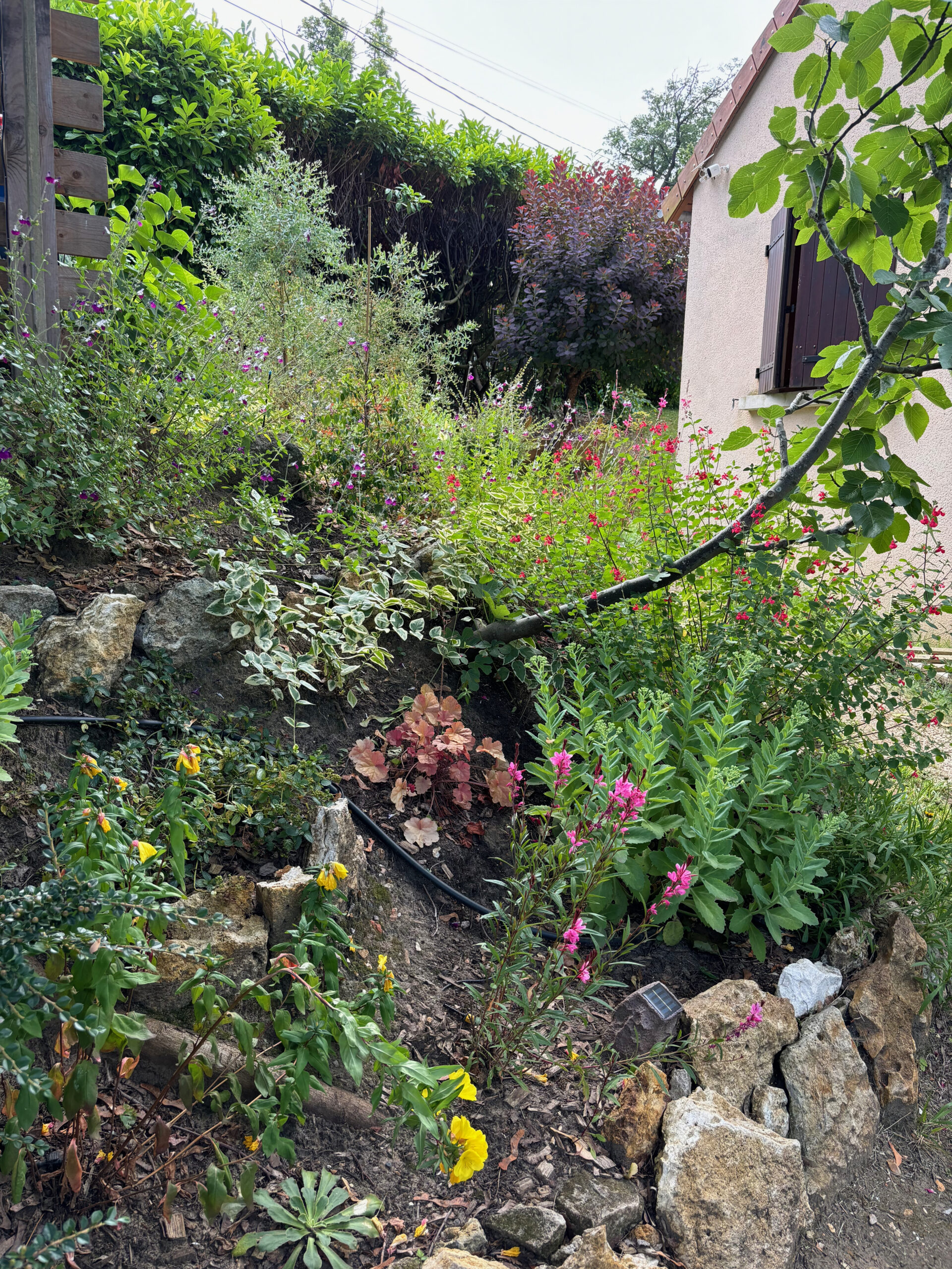 petit espace extérieur butte fleurie