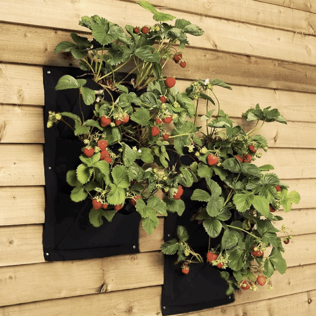 potager-balcon